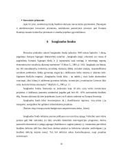 ES struktūrinių fondų plėtra Lietuvoje, jos teikiama nauda ir galimybės ja pasinaudoti 10 puslapis