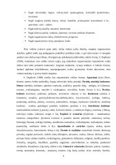 Neįgaliųjų vaikų popamokinės veiklos formos, ugdymo turinys bei išliekamasis socialinis veiksnys 6 puslapis