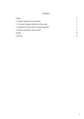 Europos Sąjungos (ES) rinkų ypatumai