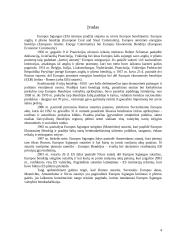 Europos Sąjungos (ES) rinkų ypatumai 2 puslapis