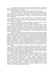 Europos Sąjungos (ES) rinkų ypatumai 5 puslapis