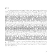 Europos Sąjungos (ES) struktūrinių fondų panaudojimo galimybės ir problemos 3 puslapis