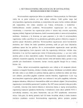 Nevyriausybinių organizacijų ir savivaldybių bendradarbiavimas 2 puslapis