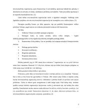 Nevyriausybinių organizacijų ir savivaldybių bendradarbiavimas 13 puslapis