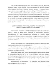 Nevyriausybinių organizacijų ir savivaldybių bendradarbiavimas 4 puslapis