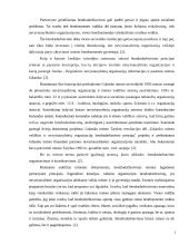 Nevyriausybinių organizacijų ir savivaldybių bendradarbiavimas 5 puslapis