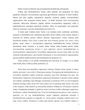 Nevyriausybinių organizacijų ir savivaldybių bendradarbiavimas 6 puslapis