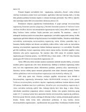 Nevyriausybinių organizacijų ir savivaldybių bendradarbiavimas 8 puslapis