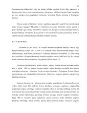 Europos Sąjungos (ES) teisės sistema 17 puslapis