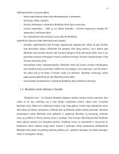 Europos Sąjungos (ES) teisės sistema 6 puslapis