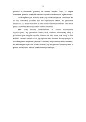 Europos Sąjungos (ES) užsienio prekybos politika 13 puslapis