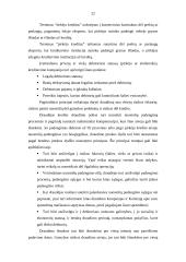 Europos Sąjungos (ES) užsienio prekybos politika 20 puslapis