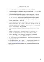 Nužudymą kvalifikuojančių požymių analizė 15 puslapis