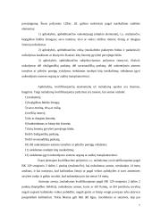 Nužudymą kvalifikuojančių požymių analizė 7 puslapis