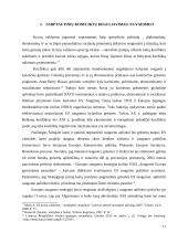 Europos Sąjungos (ES) vaidmuo tarptautinių konfliktų reguliavimo srityje 12 puslapis