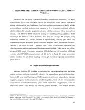 Europos Sąjungos (ES) vaidmuo tarptautinių konfliktų reguliavimo srityje 17 puslapis