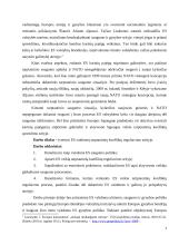 Europos Sąjungos (ES) vaidmuo tarptautinių konfliktų reguliavimo srityje 3 puslapis