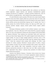 Europos Sąjungos (ES) vaidmuo tarptautinių konfliktų reguliavimo srityje 5 puslapis