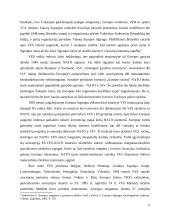 Europos Sąjungos (ES) vaidmuo tarptautinių konfliktų reguliavimo srityje 7 puslapis