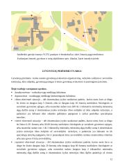 Evakavimo organizavimas ir evakuotų žmonių priėmimas į VGTU patalpas 12 puslapis