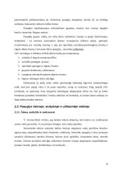 Paauglių, augančių nepilnose šeimose, socializacijos ypatumai 14 puslapis