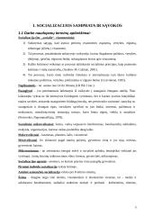 Paauglių, augančių nepilnose šeimose, socializacijos ypatumai 5 puslapis