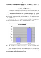 F. Herzberg motyvavimo veiksnių teorijos raiška 14 puslapis