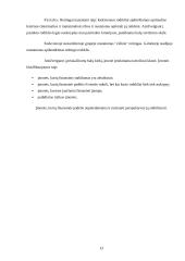 Finansinė analizė įmonėse 13 puslapis