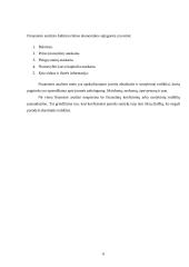 Finansinė analizė įmonėse 6 puslapis