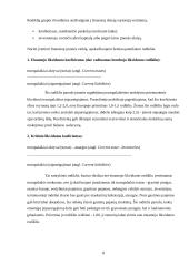 Finansinė analizė įmonėse 8 puslapis