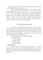 Finansinė analizė: mažmeninė prekyba drabužiais APB "Apranga" 11 puslapis