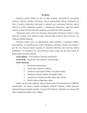 Finansinė analizė: sodo ir daržo priežiūros prekės UAB "Dikerma" 2 puslapis