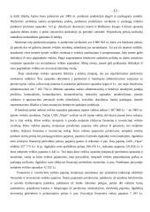 Finansinė atskaitomybė: UAB "Vėjas" 13 puslapis