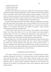 Finansinė atskaitomybė: UAB "Vėjas" 17 puslapis