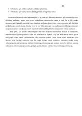 Finansinė atskaitomybė: UAB "Vėjas" 19 puslapis