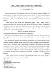 Finansinė atskaitomybė: UAB "Vėjas" 7 puslapis