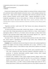 Finansinė atskaitomybė: UAB "Vėjas" 8 puslapis