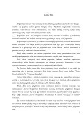 Prigimtinės teisės samprata 3 puslapis