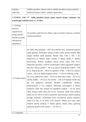 Projektų valdymas: baldų gamybos įmonė 16 puslapis