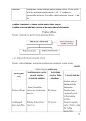 Projektų valdymas: baldų gamybos įmonė 18 puslapis