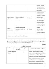 Projektų valdymas: baldų gamybos įmonė 19 puslapis