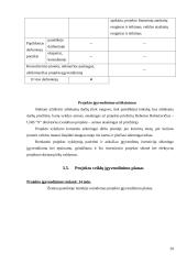 Projektų valdymas: baldų gamybos įmonė 20 puslapis