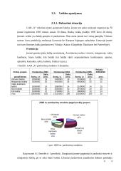 Projektų valdymas: baldų gamybos įmonė 4 puslapis