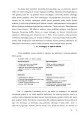 Projektų valdymas: baldų gamybos įmonė 9 puslapis