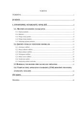 Finansinių ataskaitų analizė