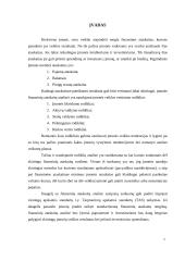 Finansinių ataskaitų analizė 2 puslapis