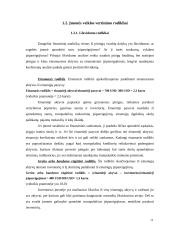 Finansinių ataskaitų analizė 12 puslapis