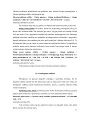 Finansinių ataskaitų analizė 16 puslapis