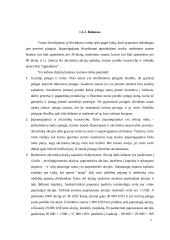 Finansinių ataskaitų analizė 5 puslapis