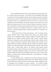 Seimo kontrolierius 2 puslapis